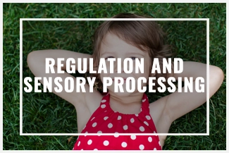 Chiropractic Roswell GA Regulation and Sensory Processing HP